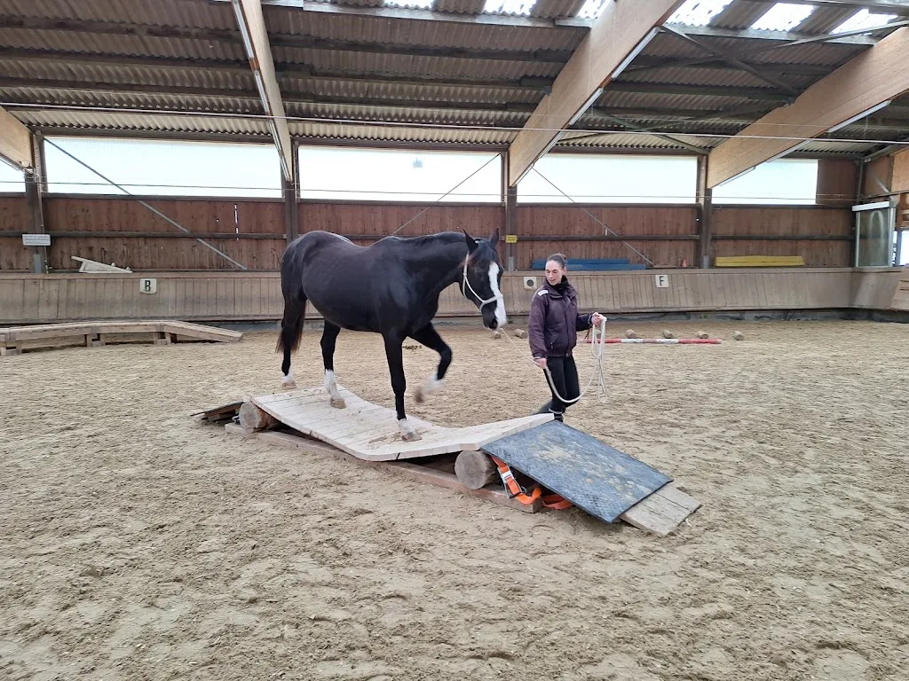 Eberhard Grötzinger Reitanlage - Foto 2