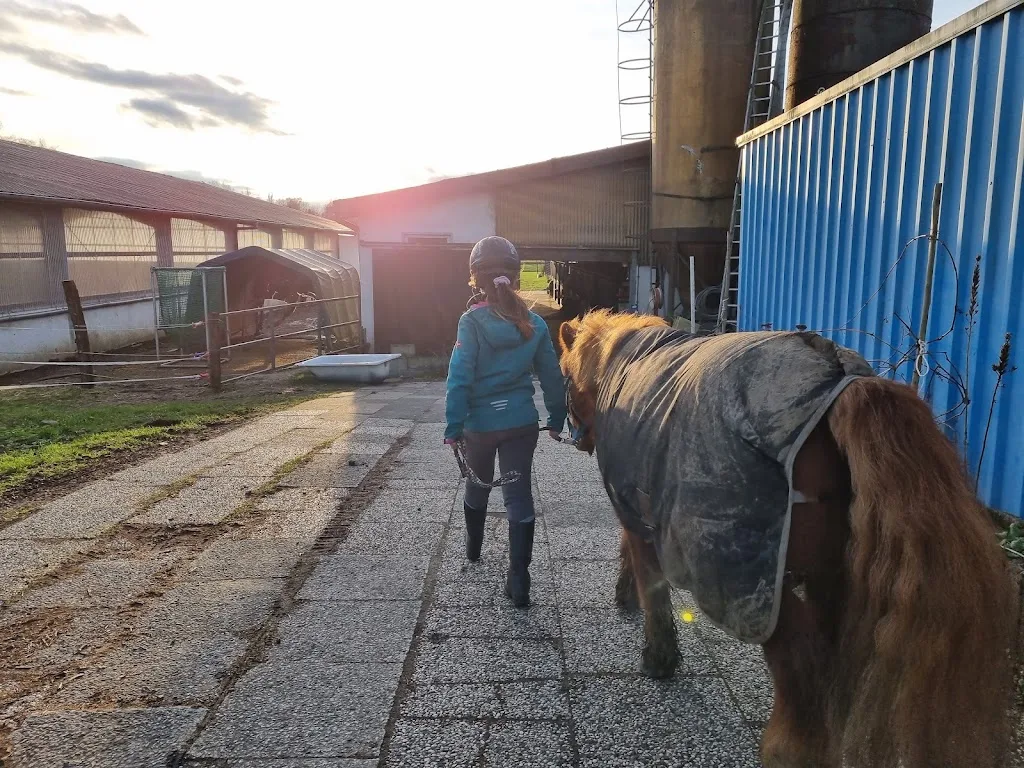 Reitanlage Michels - photo 1