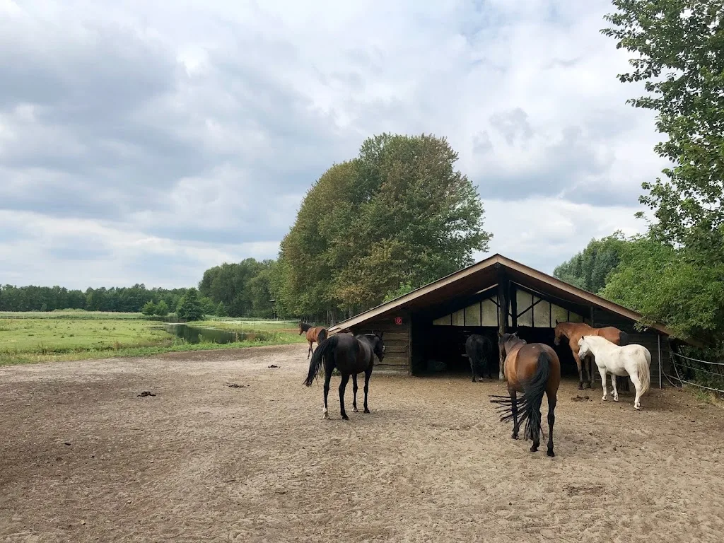 Reitanlage Pappelhof - Foto 1