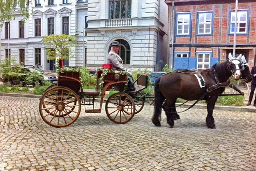 Reiterhof Mietz Inhaber Ralf Weihs - Foto 1