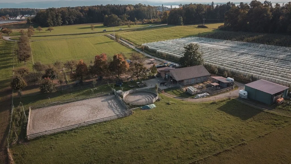 Maucher's Pferdehof - Foto 2