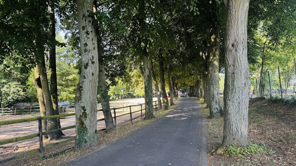 Hof Lüttgesheide - photo 2
