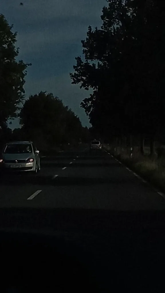 Reitanlage Dümpenhof - Foto 2