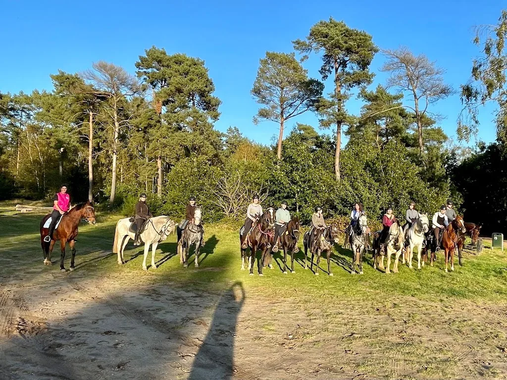 Reitanlage Dümpenhof - Foto 3