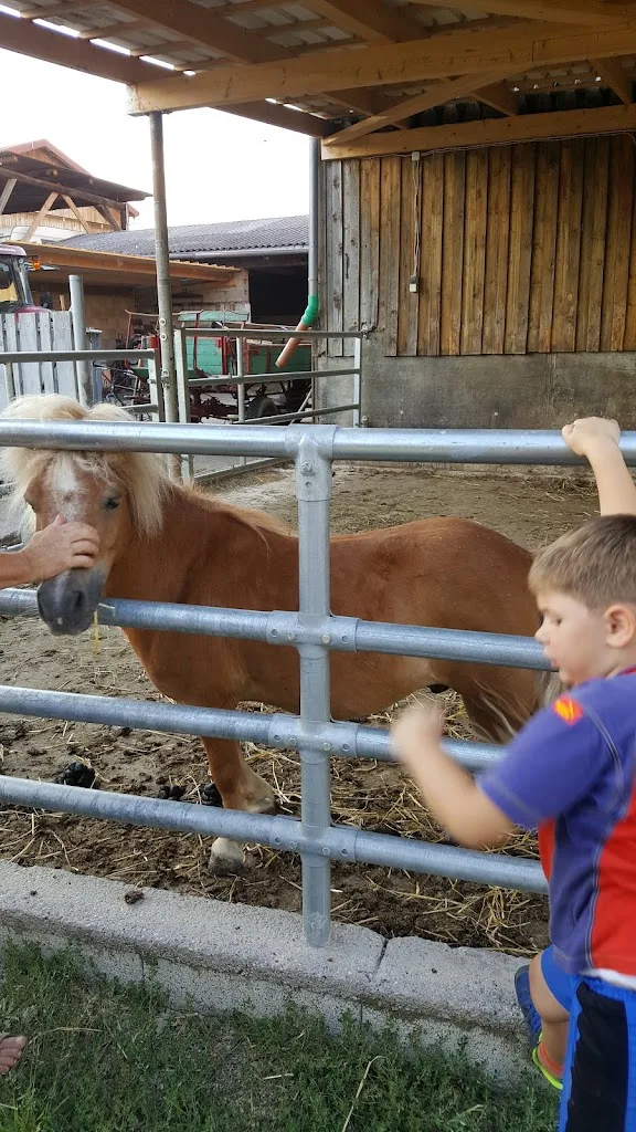 Günter Widmaier Reitstall am Benzenbühl - Foto 2