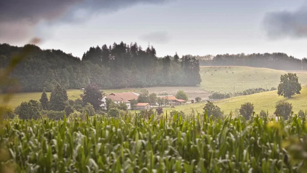 Pferdehof - Longeron - Foto 1