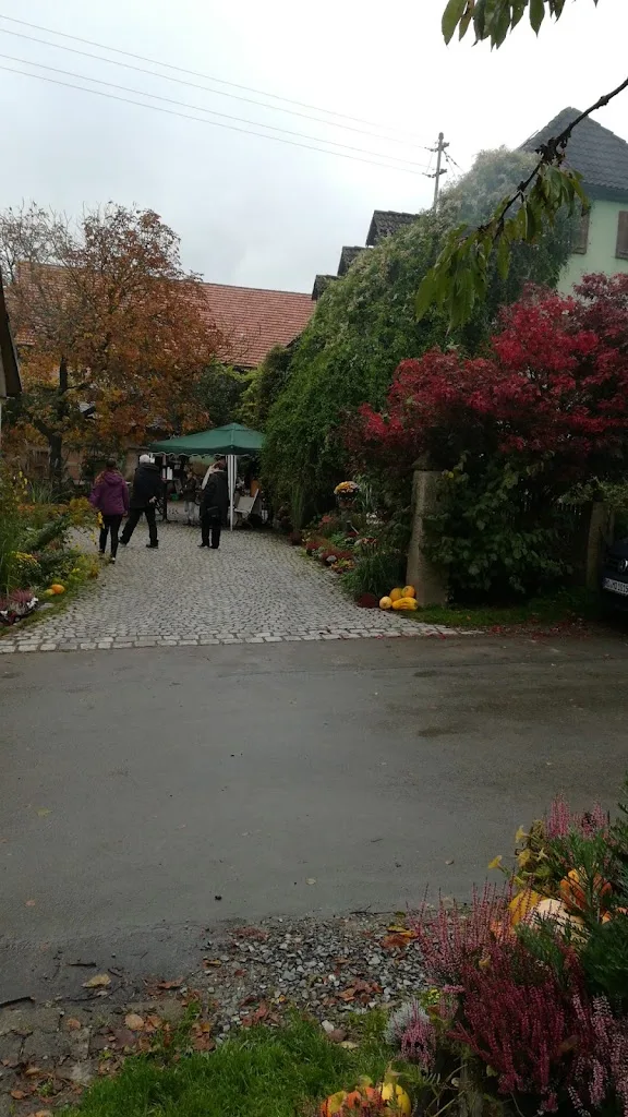 Reitstall - Hofgut Eiben GmbH & Co. KG - Foto 1