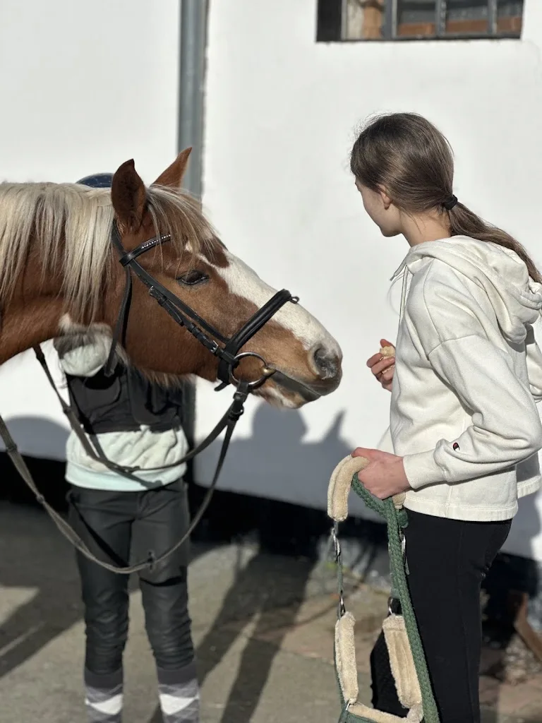 Unsere kleine Ranch - Foto 2
