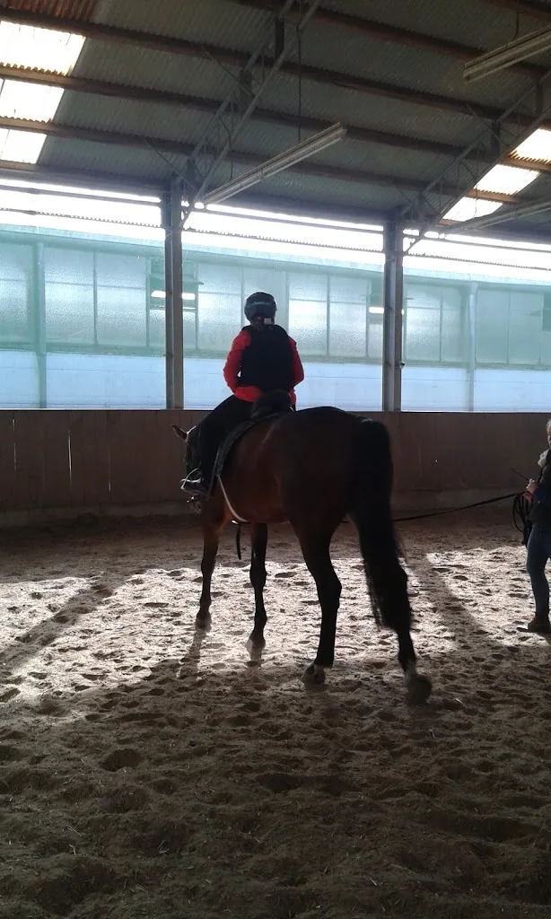Reitsportzentrum Bödicker - photo 1