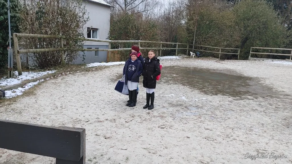 Reitsportzentrum Bödicker - photo 2