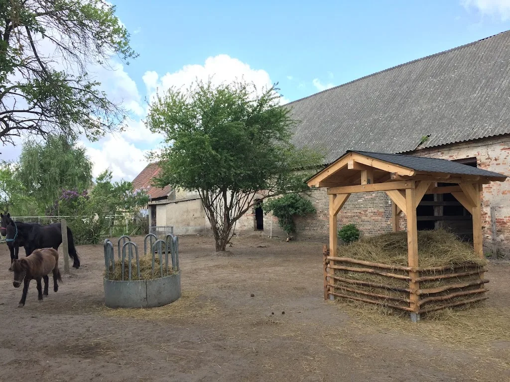Pferdehof Lehmann - Foto 1