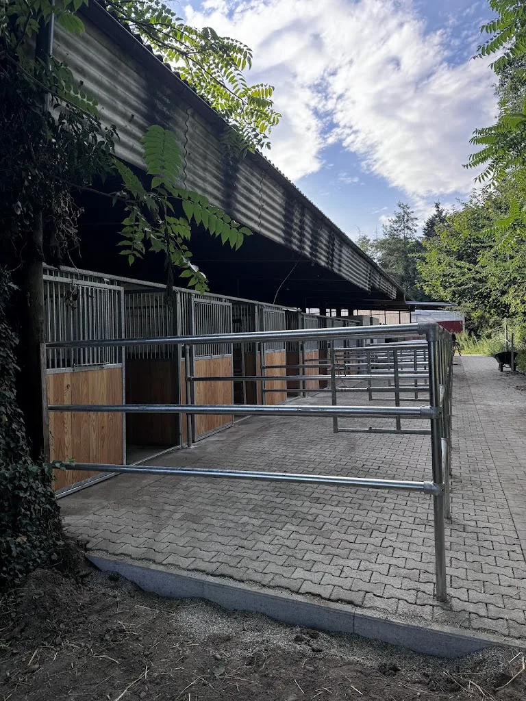 Reitanlage Herrenbuckel - Foto 2