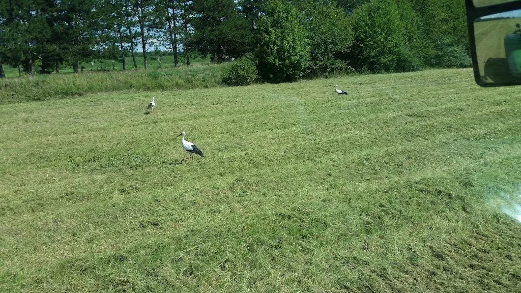 Reitanlage Herrenbuckel - Foto 3