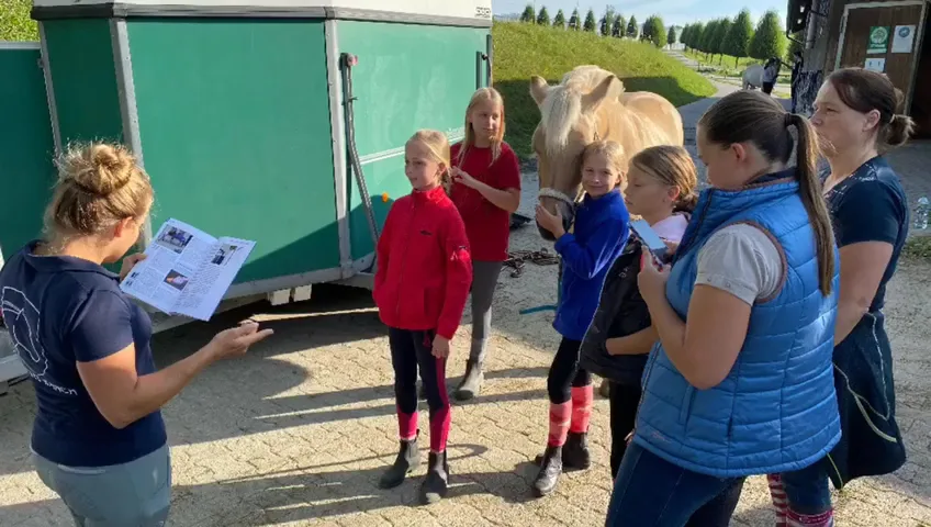 Ponyreitschule Fjordpferdegestüt Wurzel Ranch - Foto 2