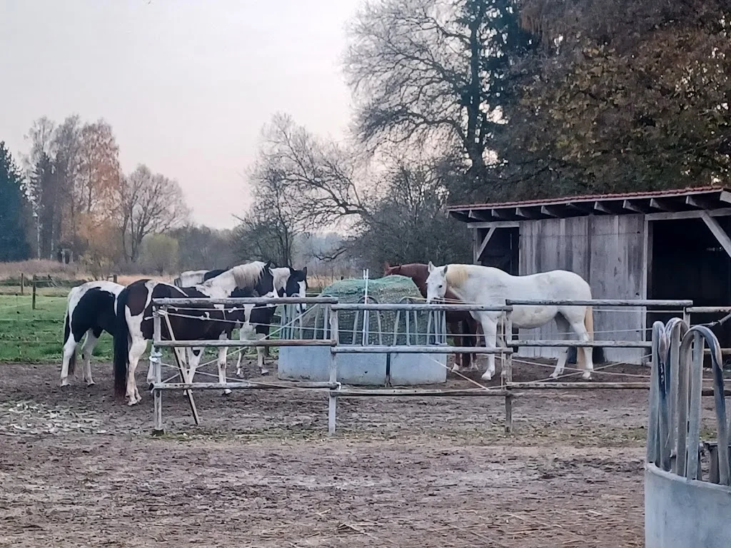 Riedmühl-Ranch - Birgit Büchner & Gerd Wings - Foto 1