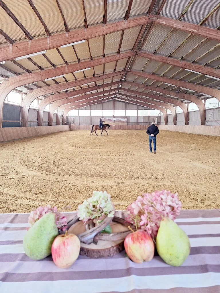 Reitanlage Gut Freienhagen - photo 1