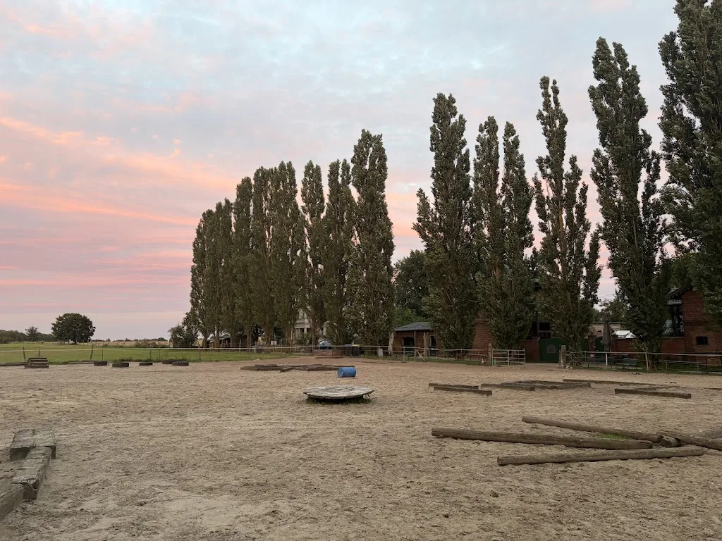 Lucky Horse Ranch Mönchsheim GbR | Hoppegarten - Foto 2
