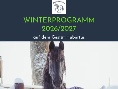 Gestüt Hubertus - Foto 3