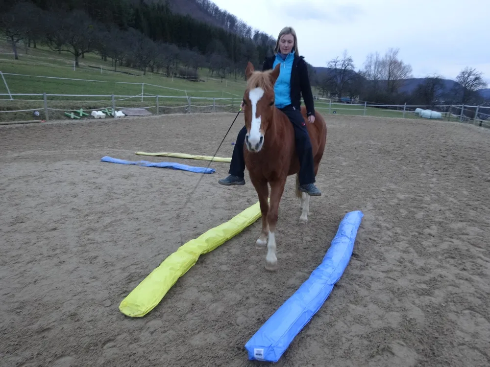 Nadja Schlecht - Pferdetraining Individuell - photo 1
