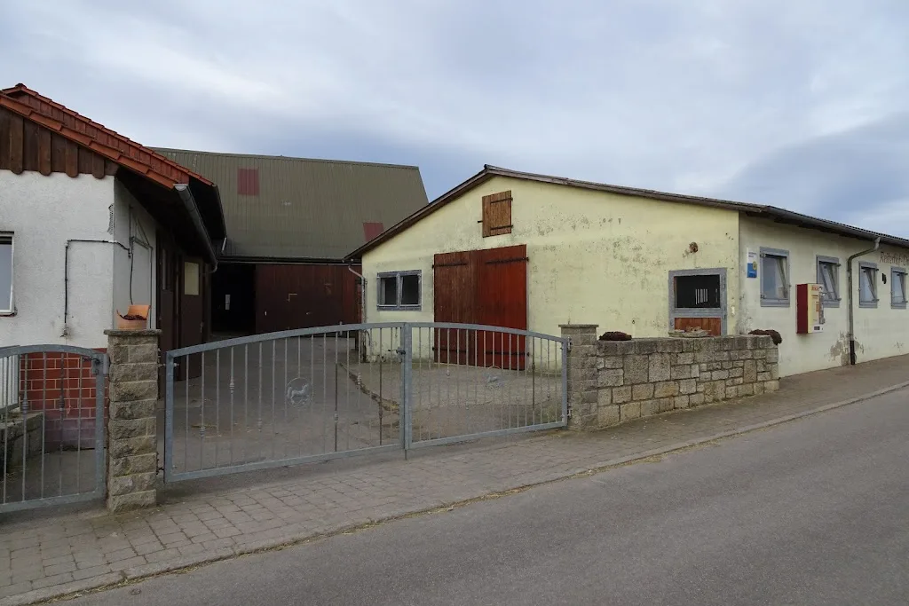 Ponyhof Erdbach Fjordpferdezucht und Reiterhof - Foto 3