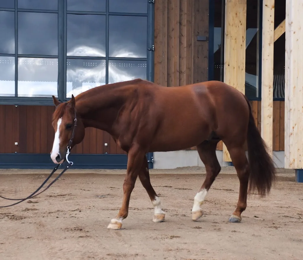 2BE Ranch - Foto 1