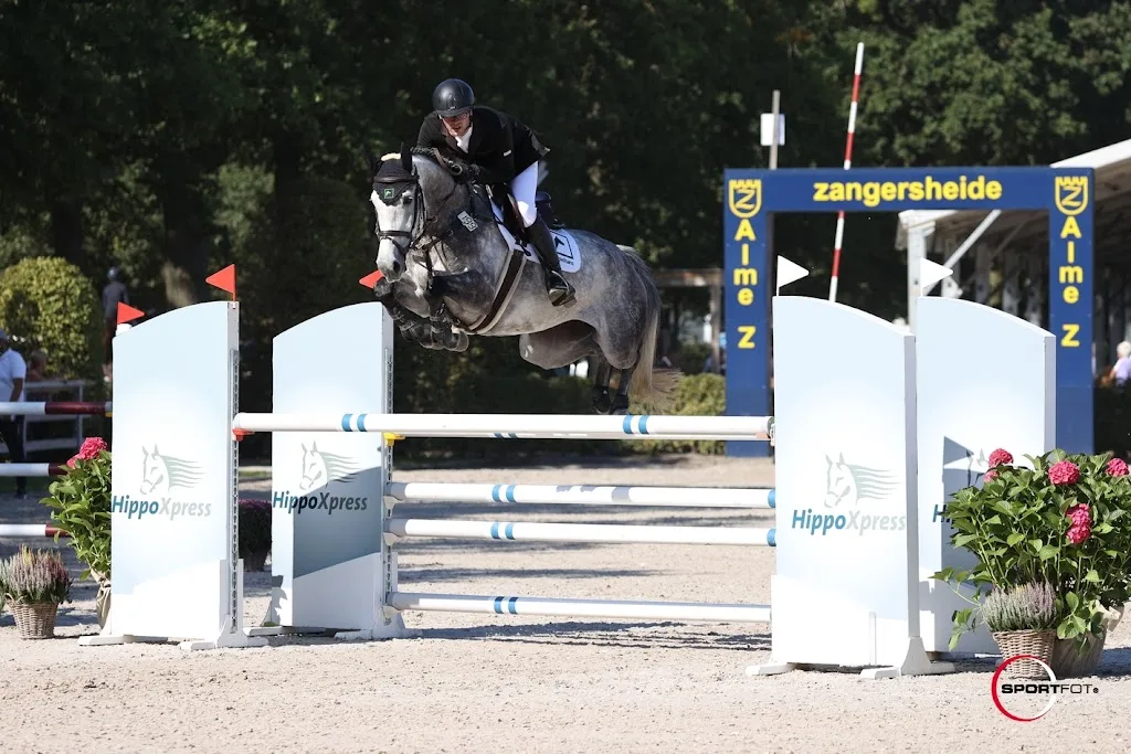 Reitbetrieb Susanne Appelhans - Foto 2
