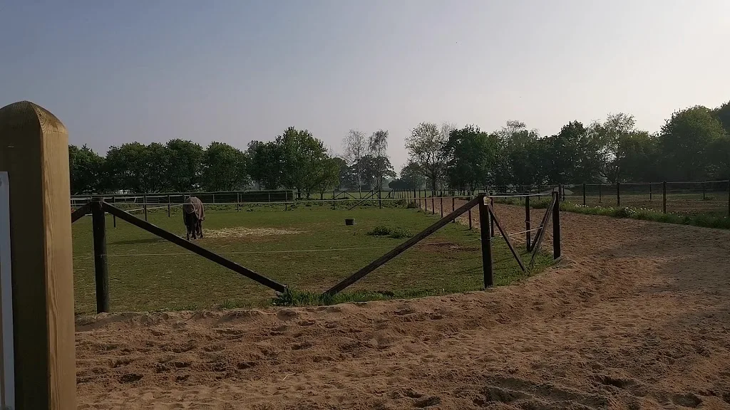 Rhein Polo Club Düsseldorf e.V. - photo 2