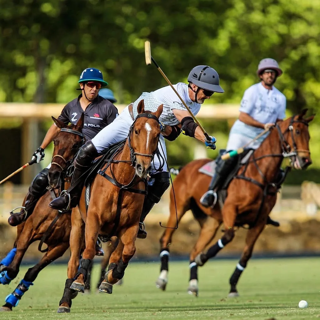 Rhein Polo Club Düsseldorf e.V. - photo 3