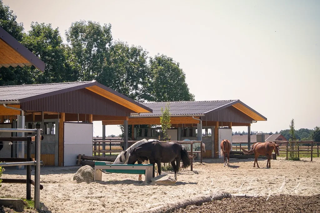 Brüning Hof Pensions- und Reitstall - photo 1