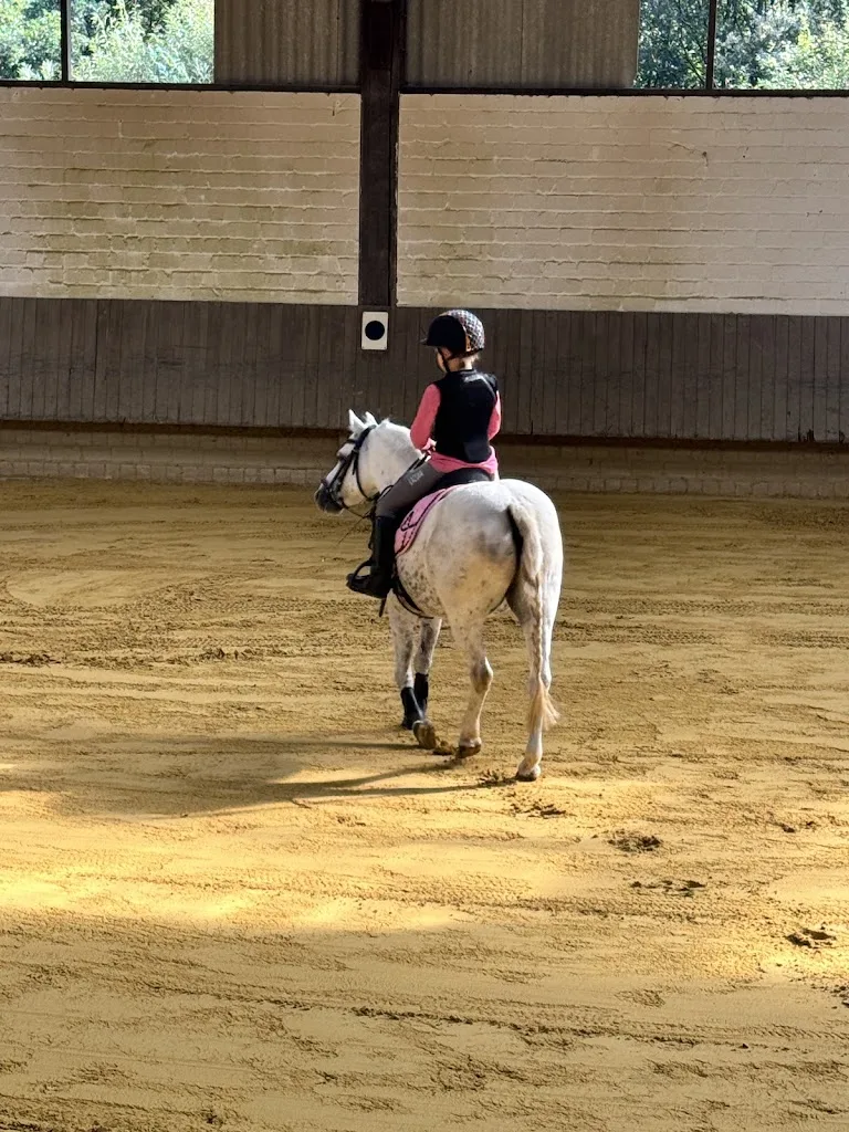 Reitanlage Sonneck - Foto 2