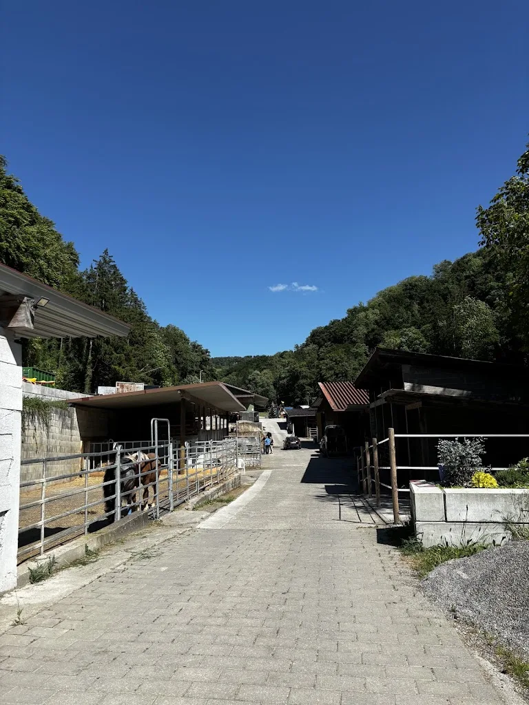 HorseResort - Foto 1