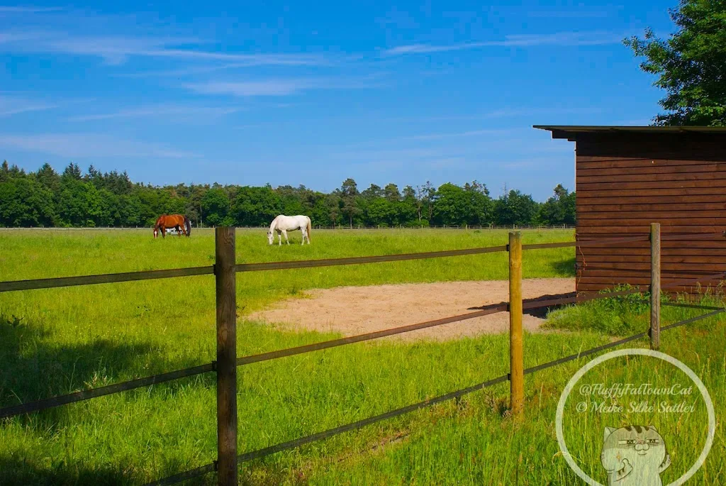 Reitanlage Hubertushof - photo 2