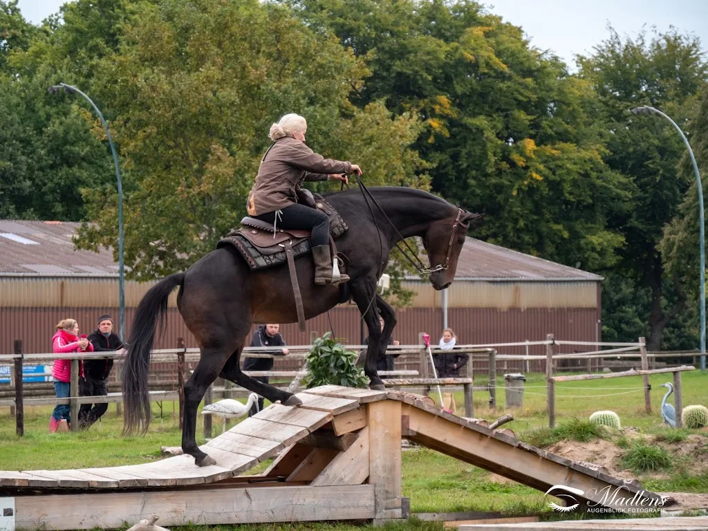Flüsterpferde - Sozialpädagogisches Reiten - photo 3