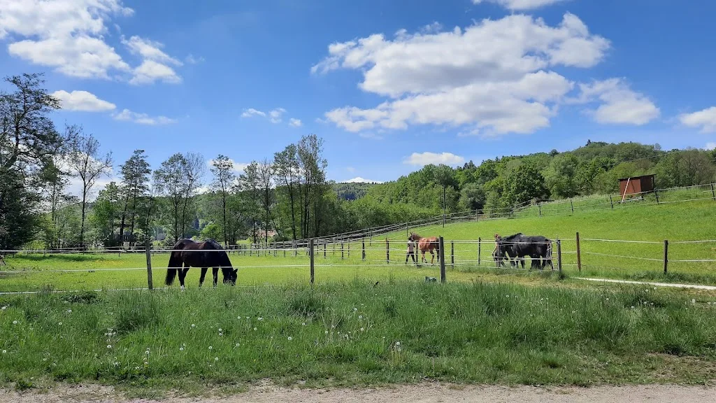 Reitstall Wattenbach - photo 1