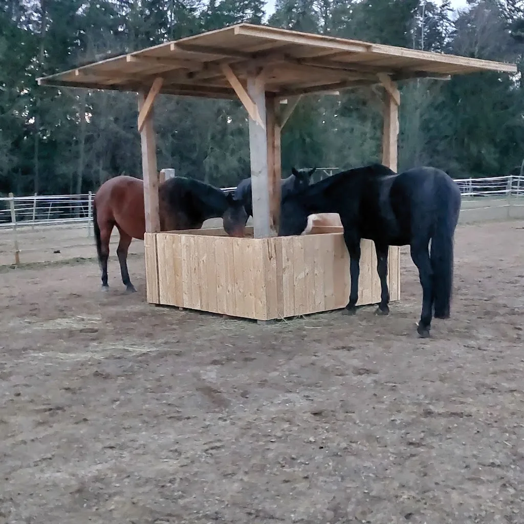 Reitstall am Steinberg - photo 1