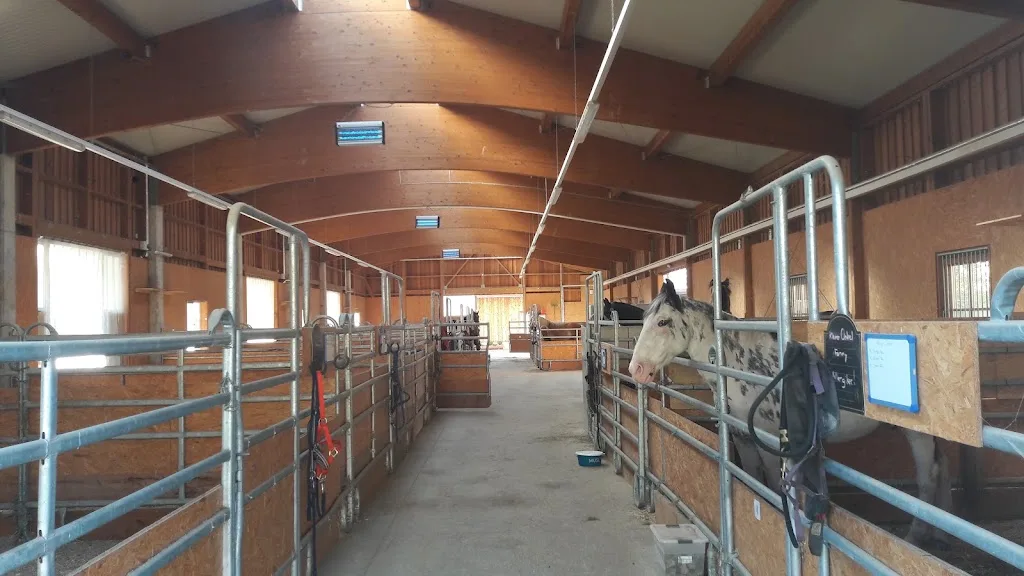 Hofgut Moier Eglsee - photo 3