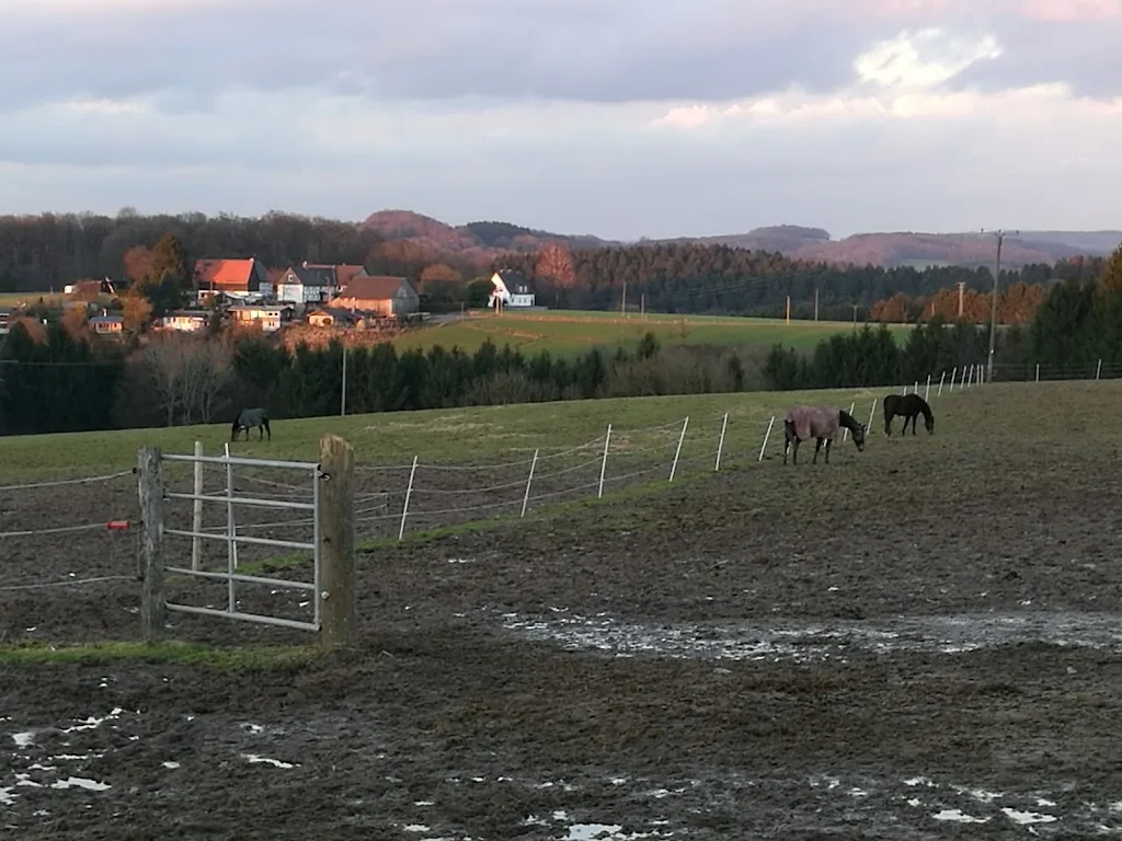 Pferdepension Unterheide - photo 2