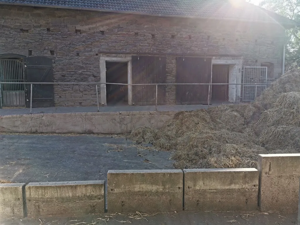 Gut Ostberge - Reitanlage Gödde - Foto 1
