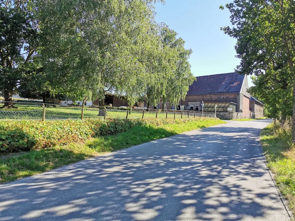 Gut Ostberge - Reitanlage Gödde - Foto 2