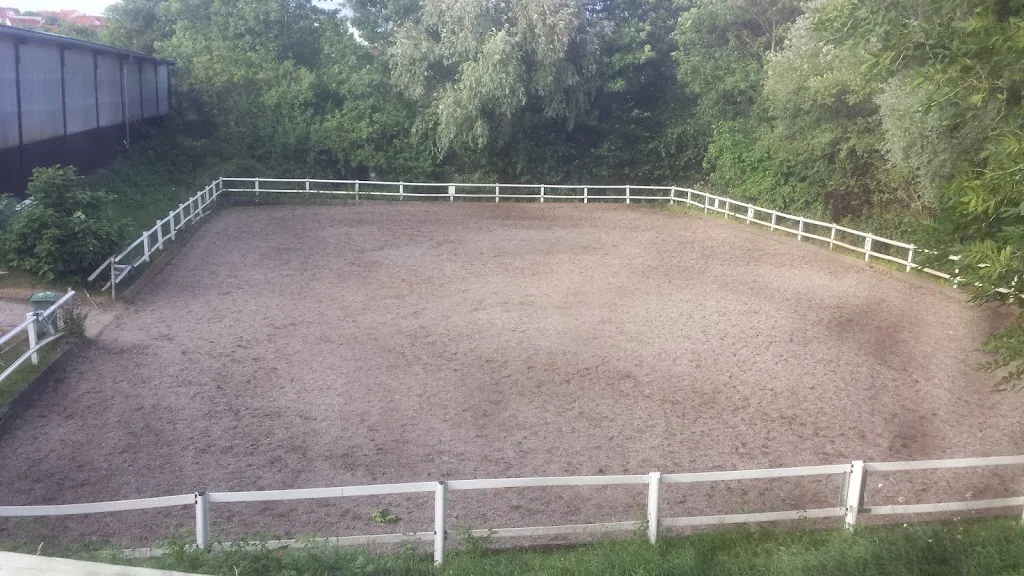 Reitstall Rappenhof Knauer GbR - photo 2