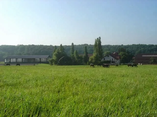 Reitstall Rappenhof Knauer GbR - photo 3