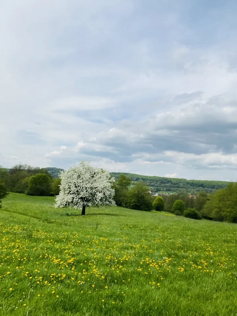 Reiterhof Elm, Rhönhof Gundhelm - Foto 1
