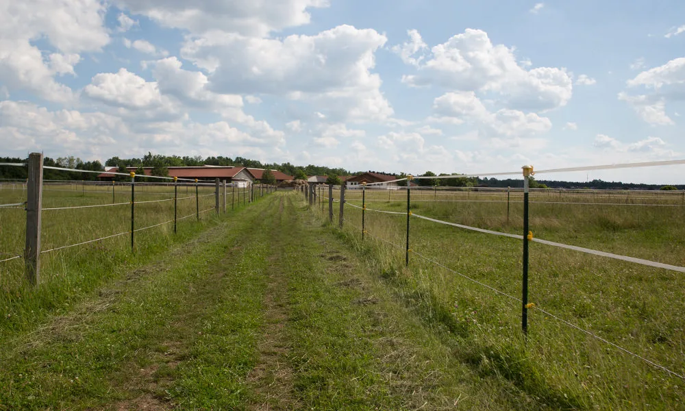 Reitsportanlage Hohenbrunn - Foto 1