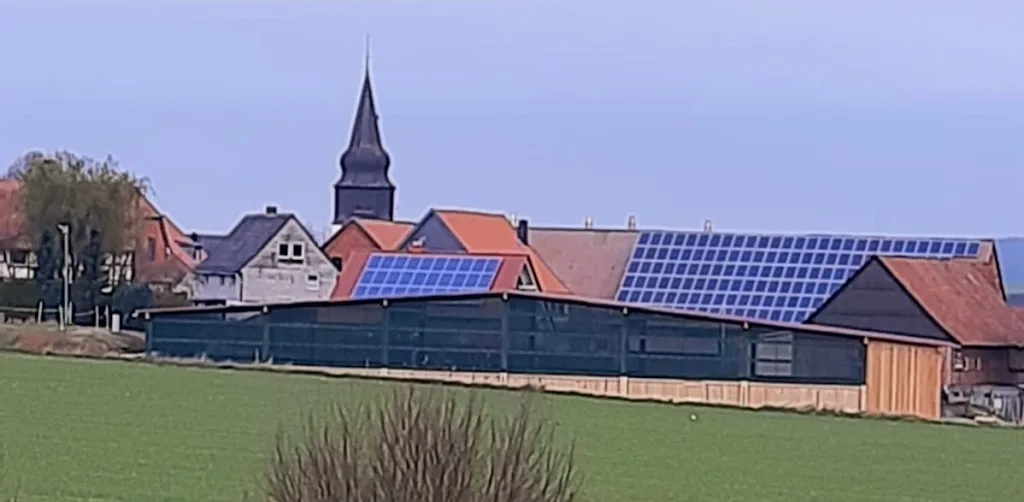Islandpferdehof OelStede - Foto 3