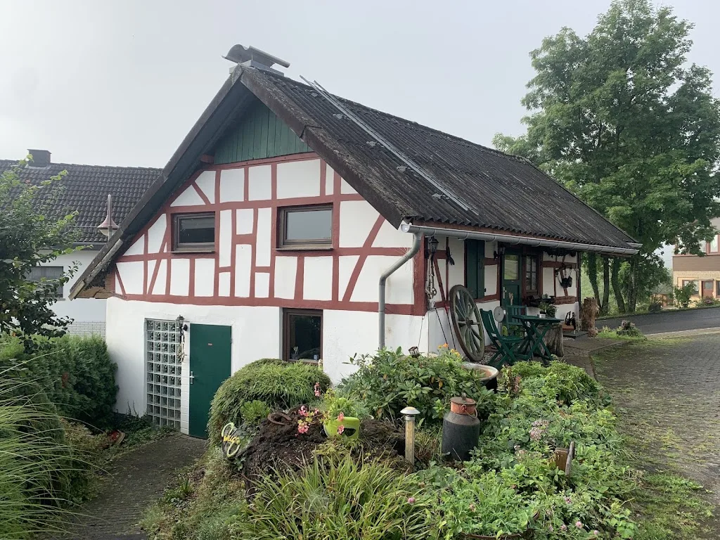 Islandgestüt Vom Klief - Foto 1