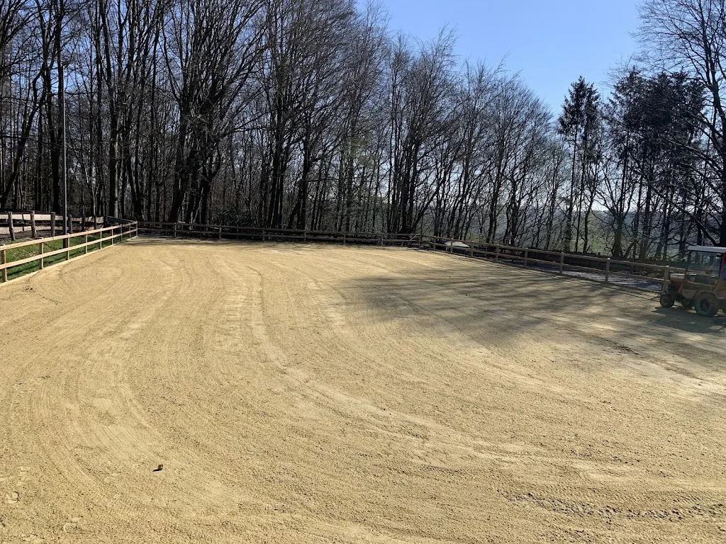 Islandgestüt Vom Klief - Foto 2
