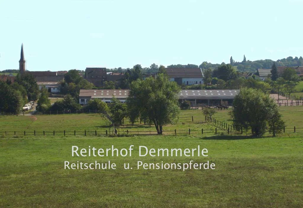 Beim Lolle - Kneipe und Pferdepension - photo 3