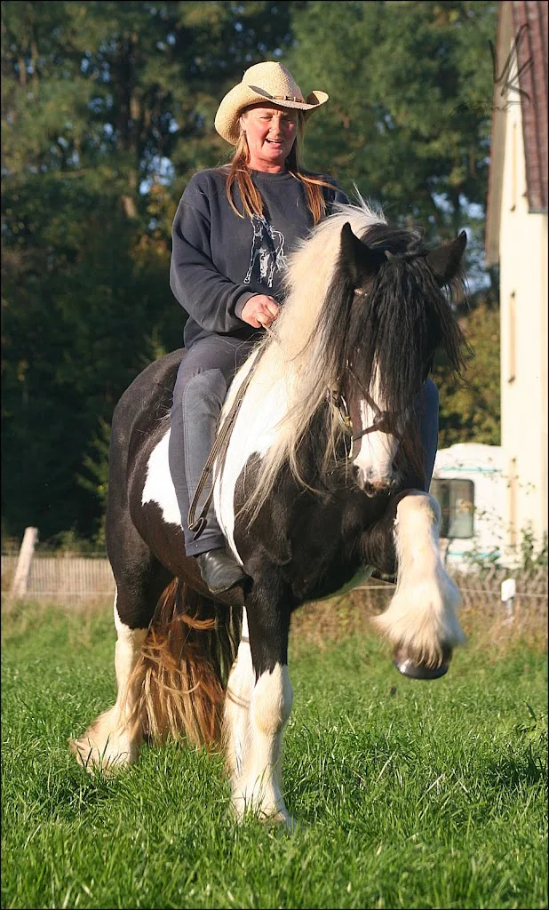 Reit und Ferienhof Susanne Engeldinger - Foto 3