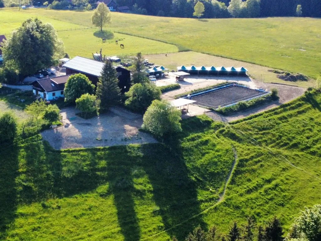 Bewegungsstall Dezion - Foto 1