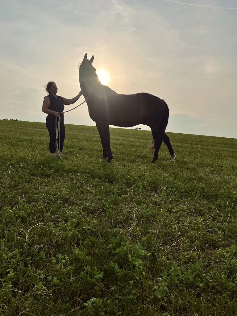 Reitanlage am Moorgrund - photo 1
